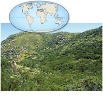 Chaparral biome in California