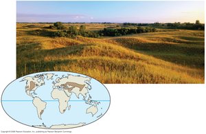 Temperate grassland in North Dakota