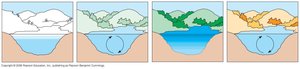 Thermoclines and seasonal turnover in temperate lakes