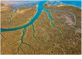 Estuary in southern Spain