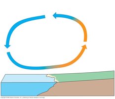 Daytime air circulation between land and water