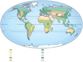 Global distribution of terrestrial biomes