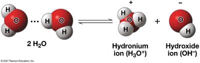 Dissociation of water into hydronium and hydroxide ions