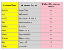 Table of diploid chromosome numbers in various species
