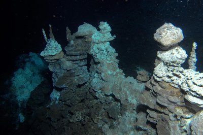 Deep-sea hydrothermal vent, habitat for extremophiles