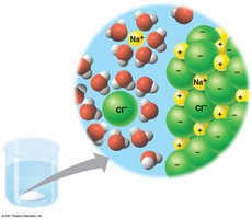 Diagram of table salt dissolving in water