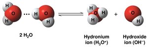 Dissociation of water into hydronium and hydroxide ions
