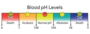 Blood pH levels and their physiological effects