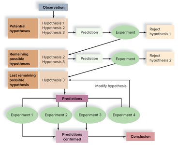 Flowchart of the scientific method