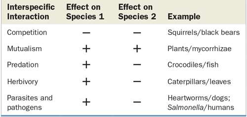 Table of interspecific interactions and their effects