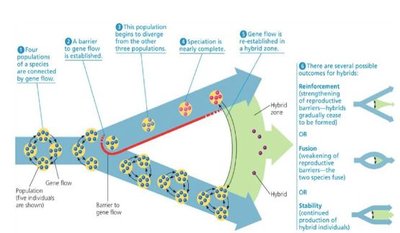 Diagram showing reinforcement over time