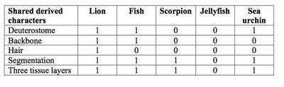 Table of shared derived characters for cladogram practice