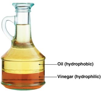 Separation of oil and vinegar in salad dressing