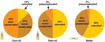 Relative amounts of different fats in oils and butter