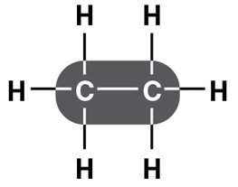 Carbon skeletons vary in length