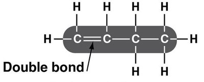 Carbon skeletons with double bonds