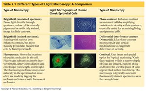 Comparison of light microscopy types
