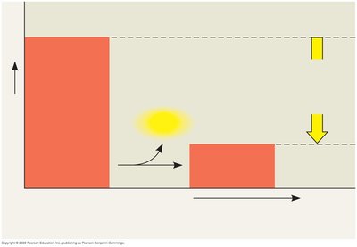 Exergonic reaction energy diagram