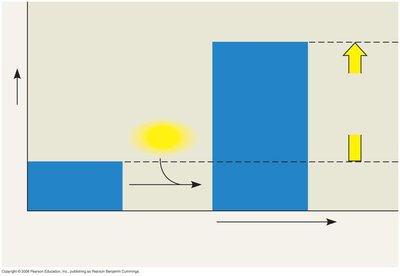 Endergonic reaction energy diagram