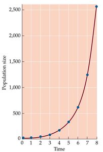 Exponential population growth curve