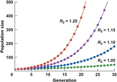 Population growth curves with different R0 values