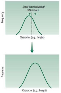 Continuous variation model of evolution