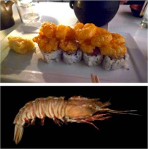 Rock shrimp and shrimp sushi