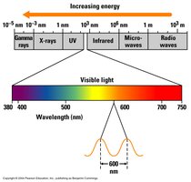 Electromagnetic spectrum and visible light