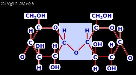 Starch molecular structure