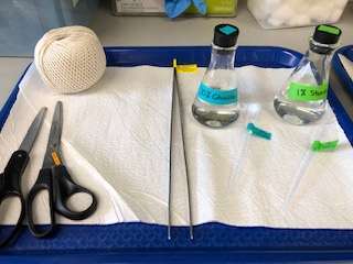 Lab equipment for osmosis experiment