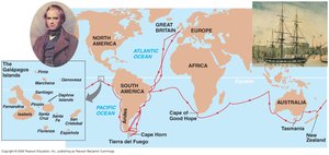 Map of Darwin's voyage on the HMS Beagle