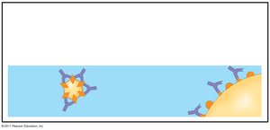 Defensive proteins