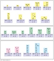Amino acid side chains