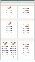 Classification of monosaccharides: aldoses and ketoses