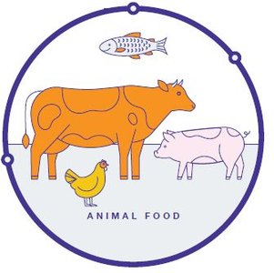 Illustration of animal food sources: cow, pig, chicken, fish
