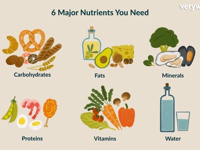 Diagram of 6 major nutrients: carbohydrates, fats, minerals, proteins, vitamins, water