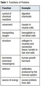 Table of protein functions and examples