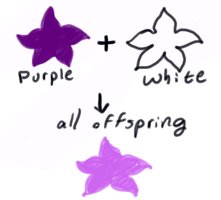 Blending inheritance illustration