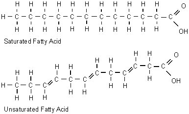 Saturated and unsaturated fatty acid structures