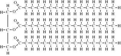Structure of a triglyceride (fat molecule)