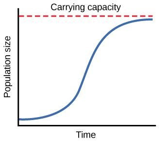 Logistic growth curve