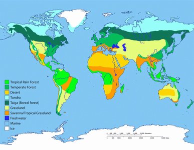 World map of major terrestrial biomes