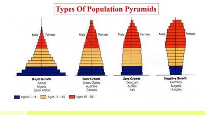 Types of population pyramids
