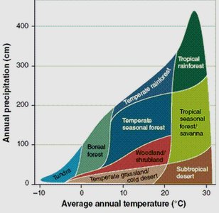 Graph showing relationship between precipitation, temperature, and biome type