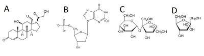 Molecular structures labeled A, B, C, D