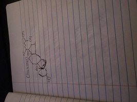 Hand-drawn structural formula of cholesterol