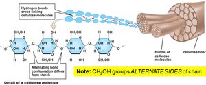 Cellulose structure and cellulose fibers