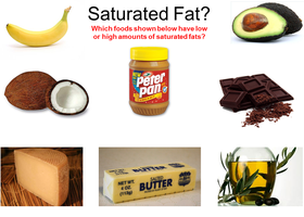 Foods with varying saturated fat content