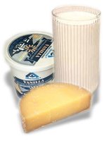 Dairy products (lactose source)