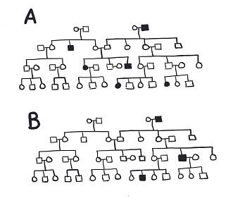 Two pedigrees showing inheritance patterns in families